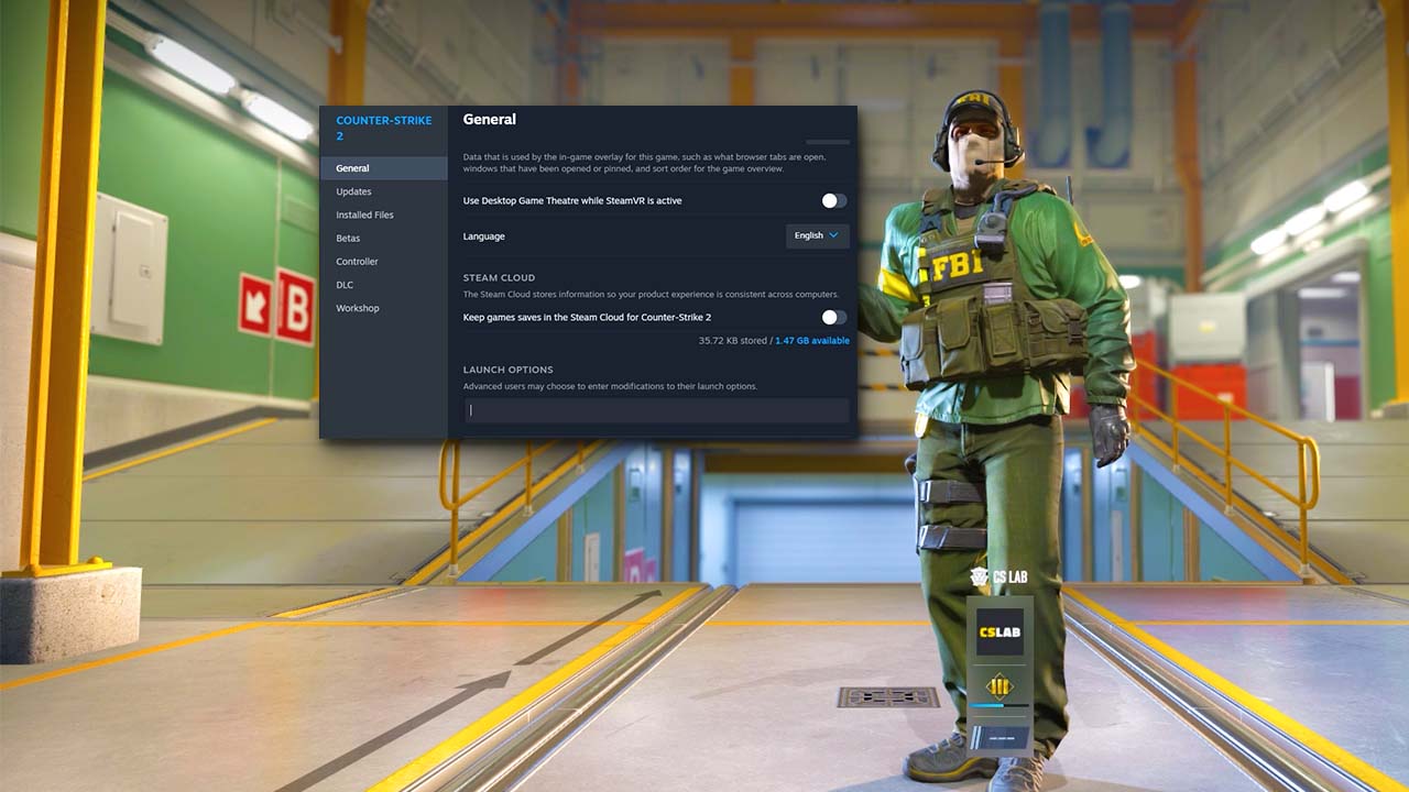 CS2 Launch Options